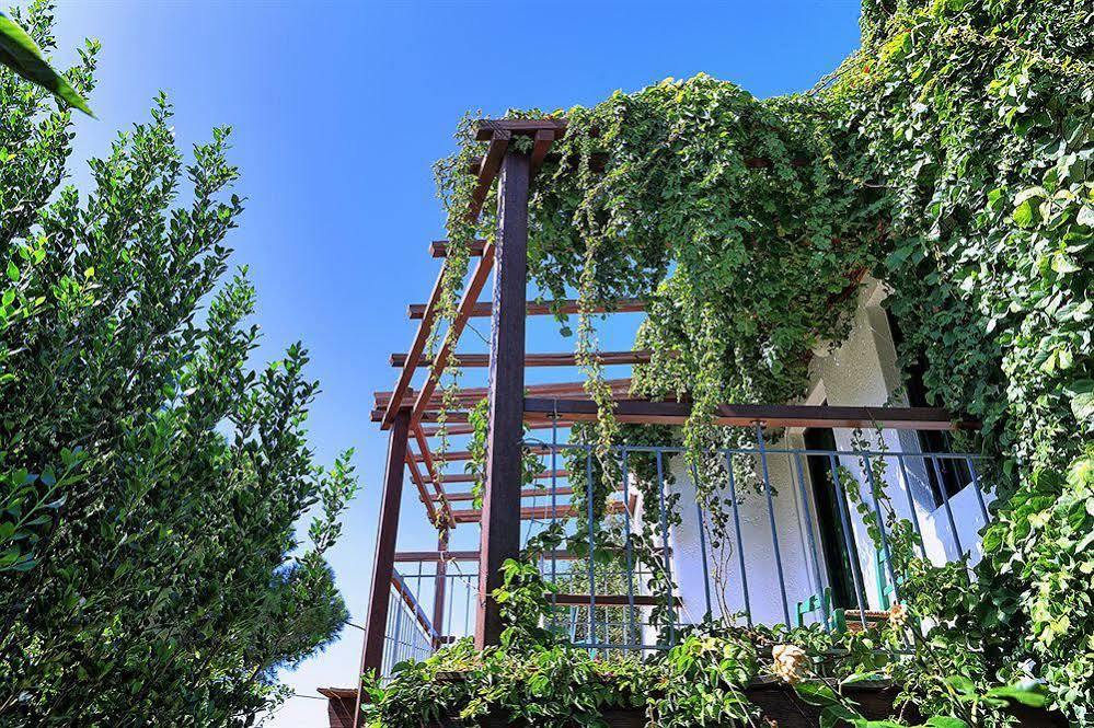 Kalypso Hotel (Adults Only) Ελούντα Εξωτερικό φωτογραφία